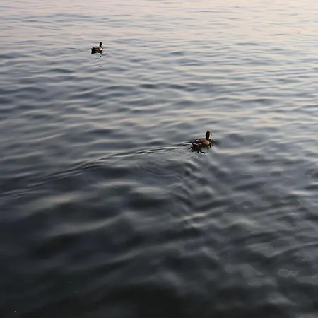 Monika 619 Garda (Verona)