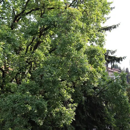 Apartment Monika 619 Garda (Verona)