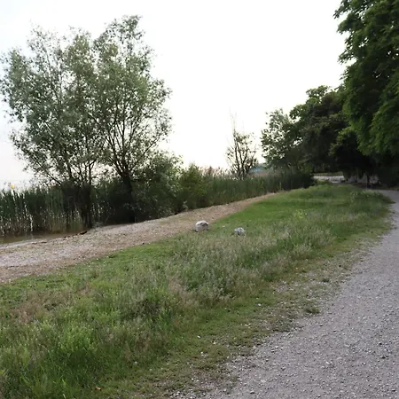 Apartment Monika 619 *