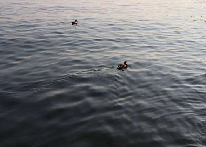 Monika 619 Garda (Verona)